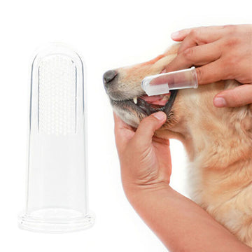 Pet's finger Toothbrush
